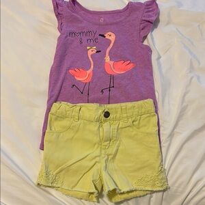 Purple Flamingo Top and Yellow Shorts Set